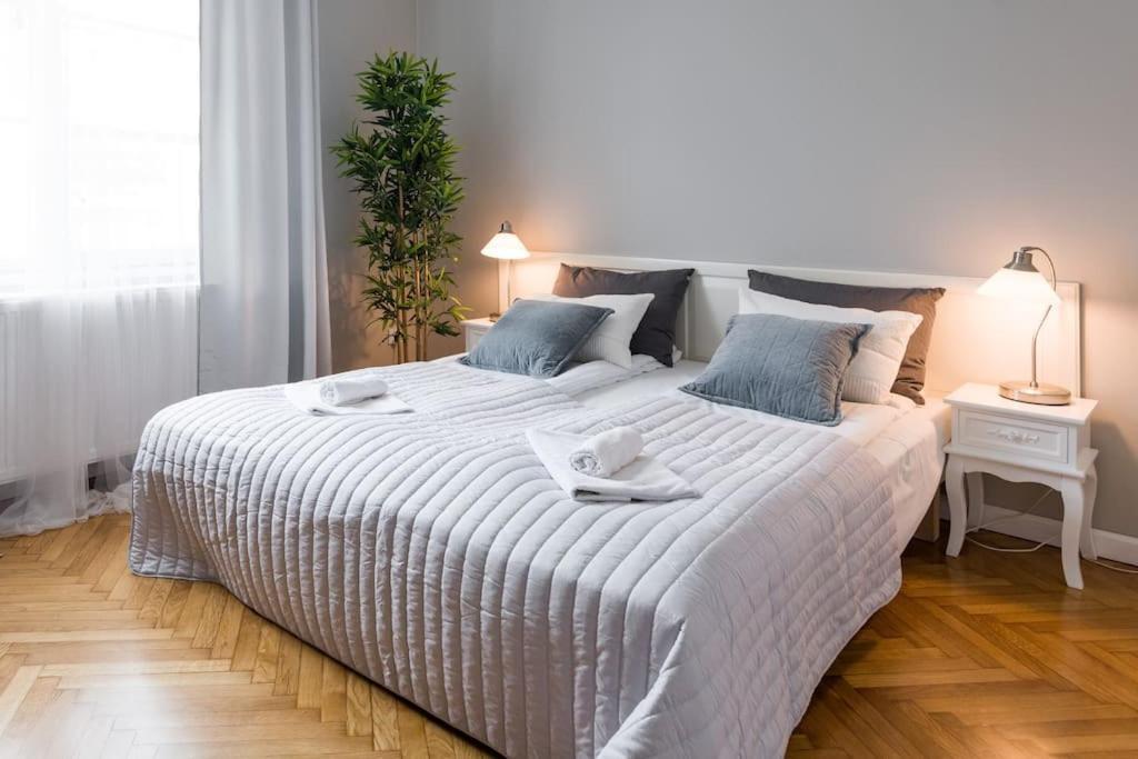 Florianska Deluxe Apartments With Air Condition Krakkó Kültér fotó