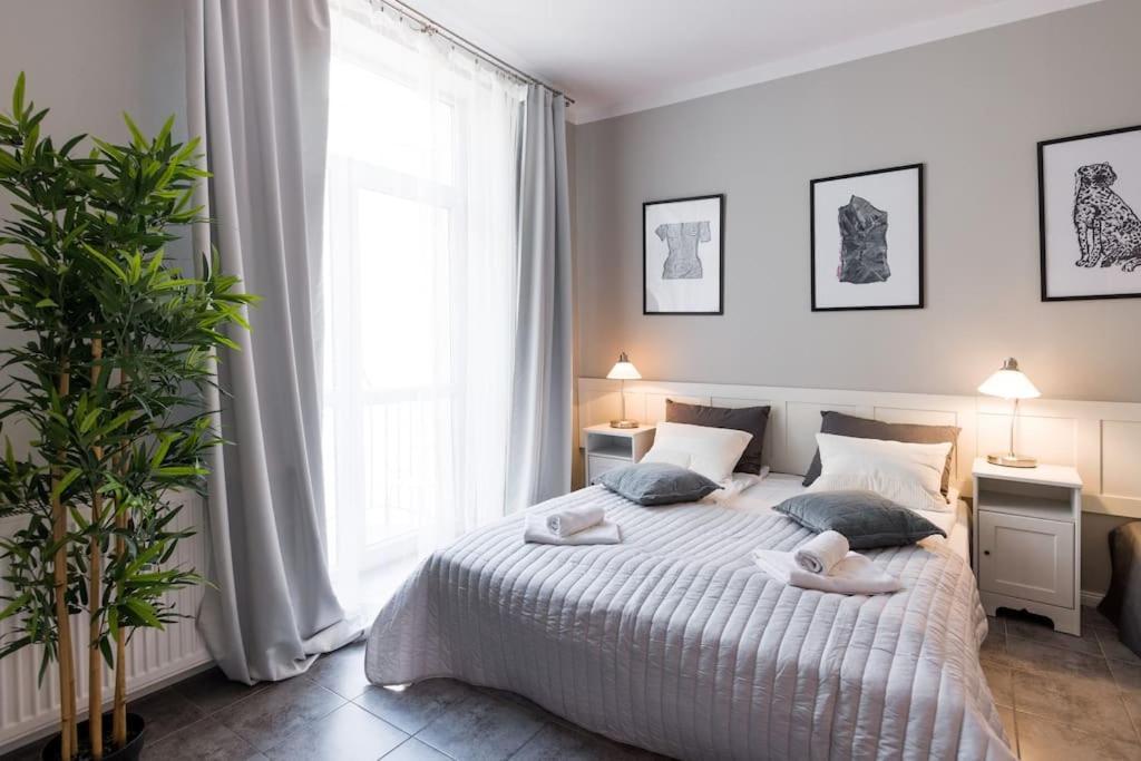 Florianska Deluxe Apartments With Air Condition Krakkó Kültér fotó